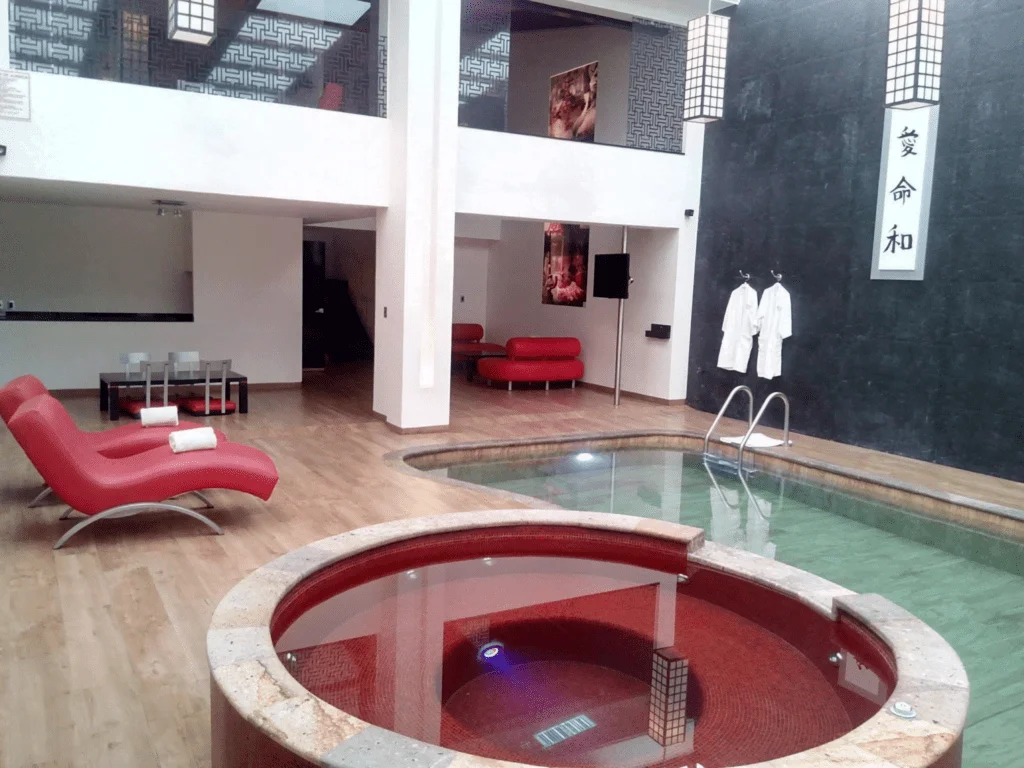 Alberca Japonesa en Hotel K20